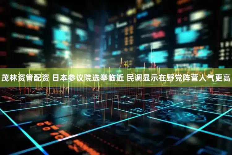 茂林资管配资 日本参议院选举临近 民调显示在野党阵营人气更高
