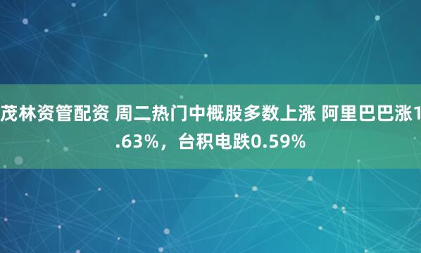 茂林资管配资 周二热门中概股多数上涨 阿里巴巴涨1.63%，台积电跌0.59%