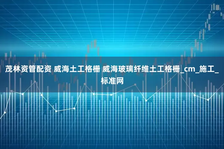 茂林资管配资 威海土工格栅 威海玻璃纤维土工格栅_cm_施工_标准网