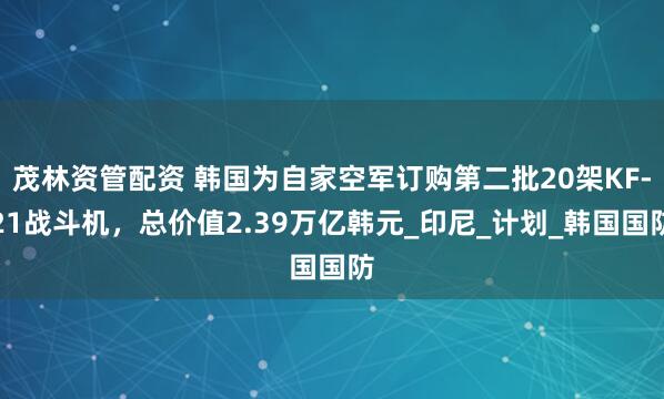 茂林资管配资 韩国为自家空军订购第二批20架KF-21战斗机，总价值2.39万亿韩元_印尼_计划_韩国国防