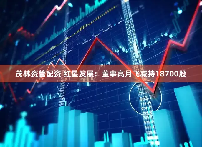 茂林资管配资 红星发展：董事高月飞减持18700股