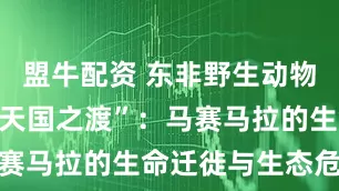 盟牛配资 东非野生动物大迁徙丨“天国之渡”:马赛马拉的生命迁徙与生态危机