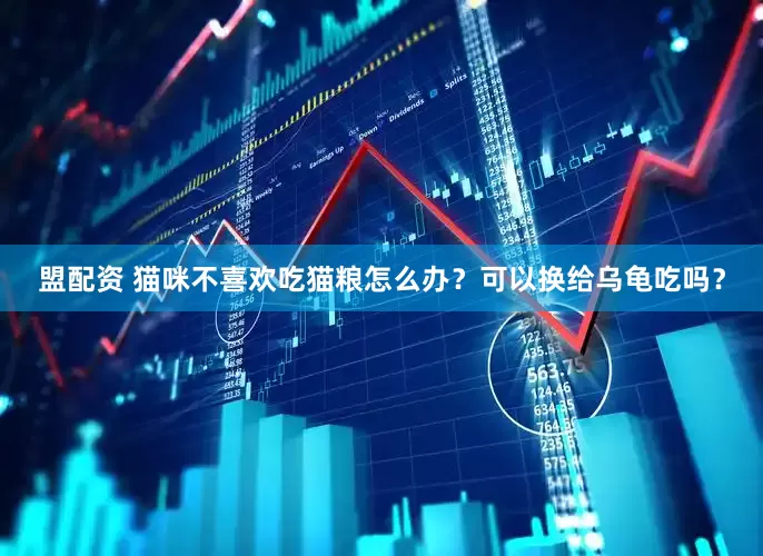 盟配资 猫咪不喜欢吃猫粮怎么办？可以换给乌龟吃吗？