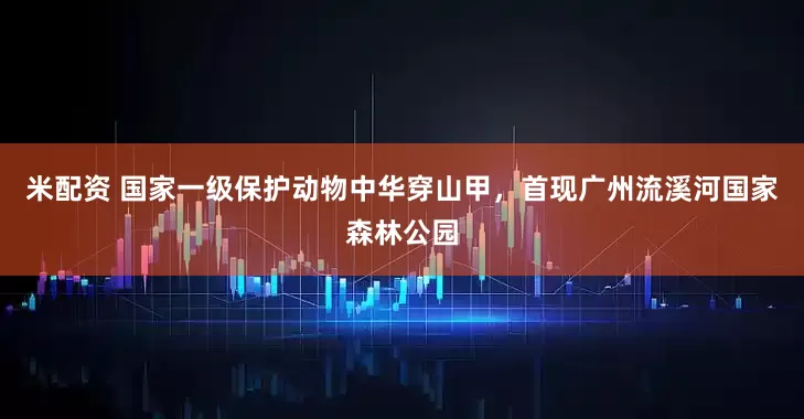米配资 国家一级保护动物中华穿山甲，首现广州流溪河国家森林公园