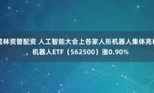 茂林资管配资 人工智能大会上各家人形机器人集体亮相，机器人ETF（562500）涨0.90%