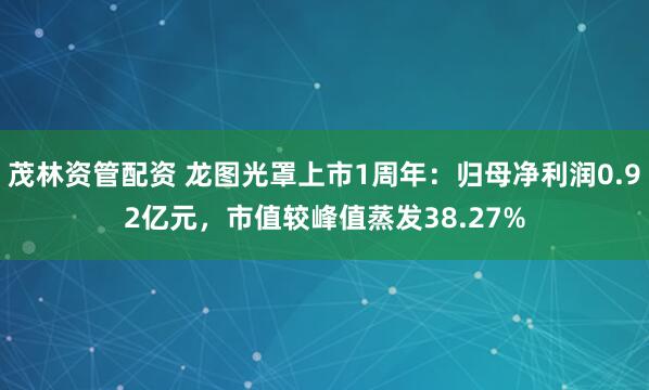 茂林资管配资 龙图光罩上市1周年：归母净利润0.92亿元，市值较峰值蒸发38.27%