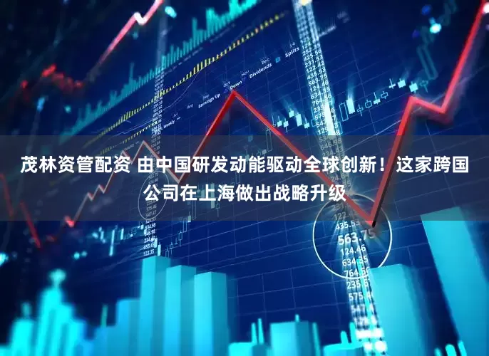 茂林资管配资 由中国研发动能驱动全球创新！这家跨国公司在上海做出战略升级